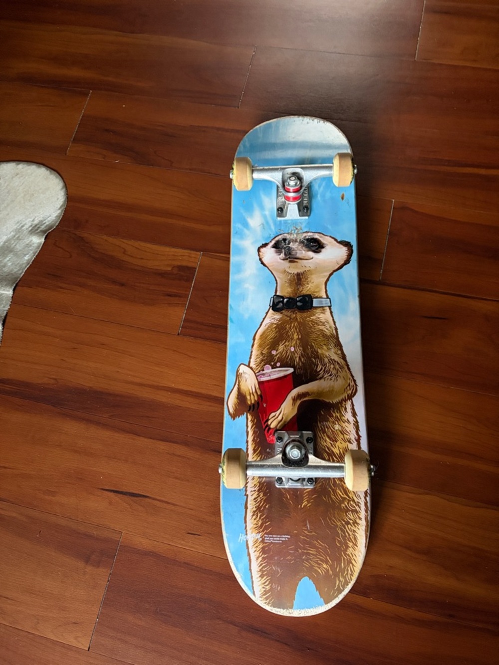 Holiday Skateboard Black Grip Skateboard